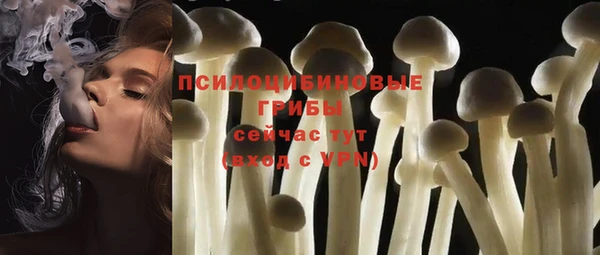 spice Баксан