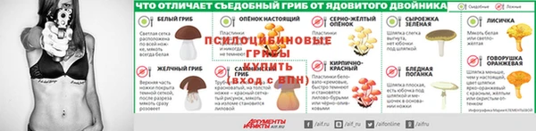 2c-b Балабаново